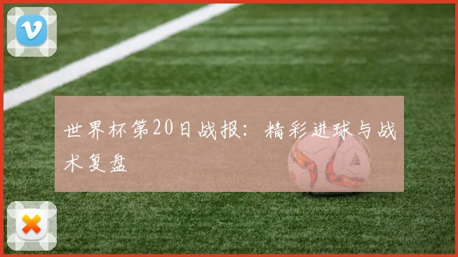 世界杯第20日战报:精彩进球与战术复盘