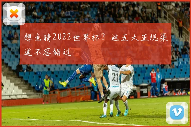 想竞猜2022世界杯?这五大正规渠道不容错过