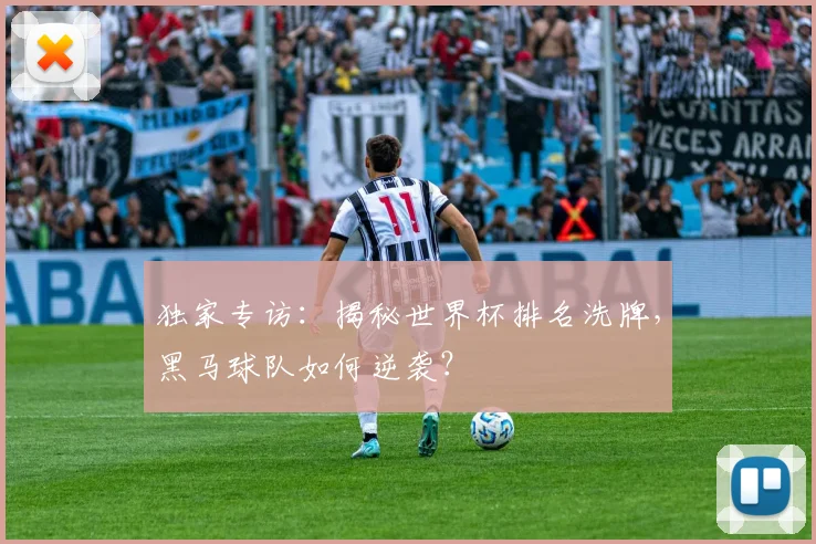 独家专访:揭秘世界杯排名洗牌,黑马球队如何逆袭?