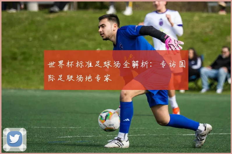 世界杯标准足球场全解析：专访国际足联场地专家