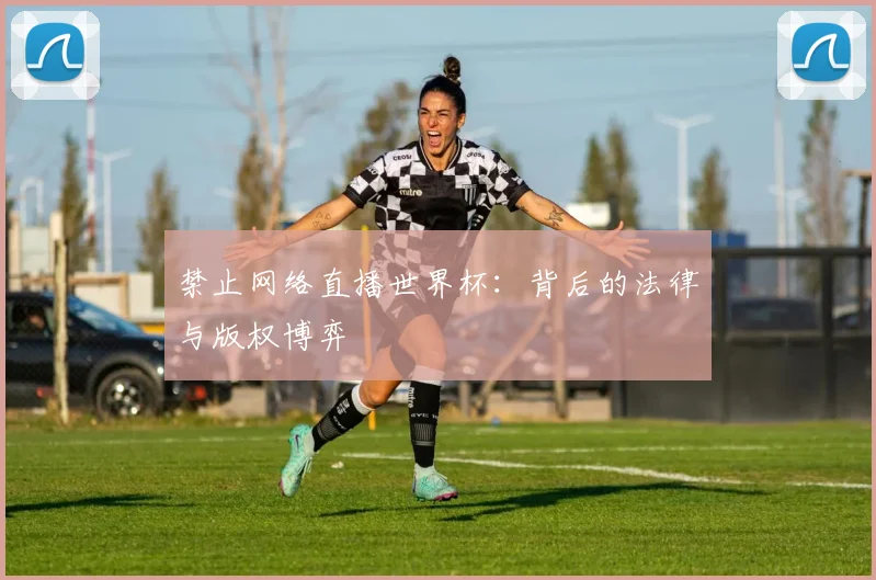 禁止网络直播世界杯：背后的法律与版权博弈